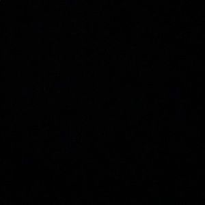 Meet your Posher, Amelia